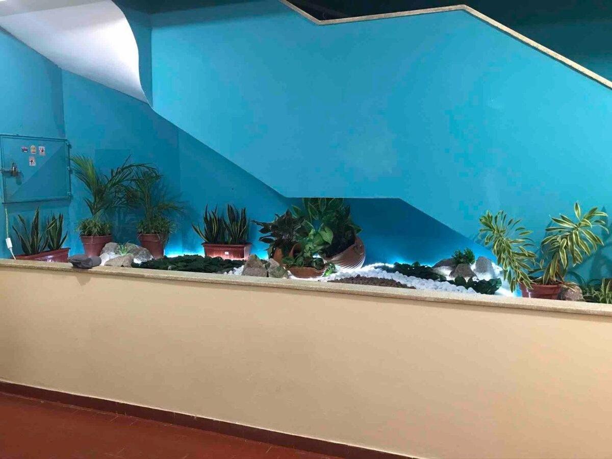 Studio Terreo - Tranquilidade Na Cidade | Wi-Fi | Poucos Metros Da Igreja Matriz. Salinópolis Esterno foto
